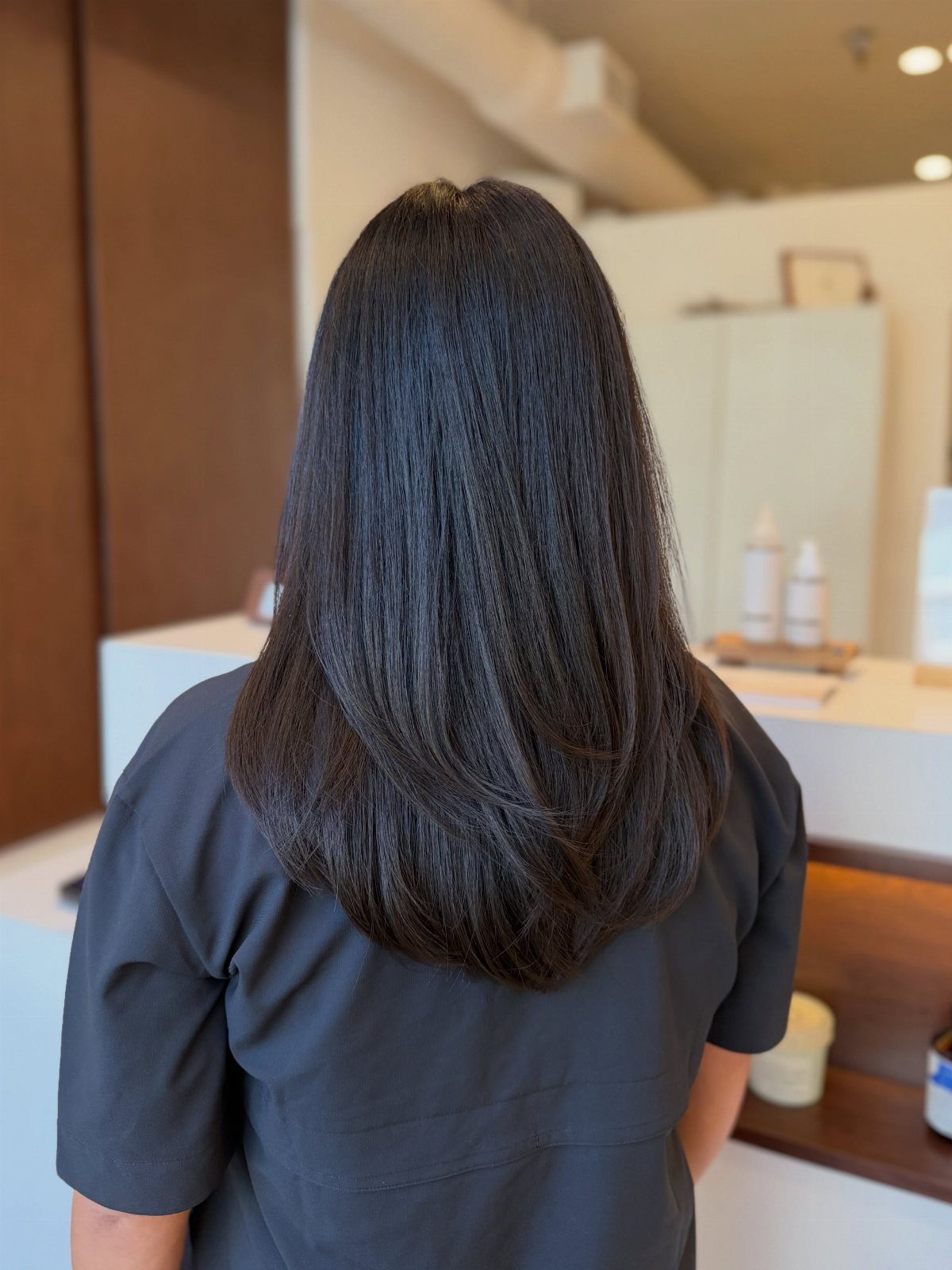 Long straight dark hair with blended layers, viewed from behind in a salon